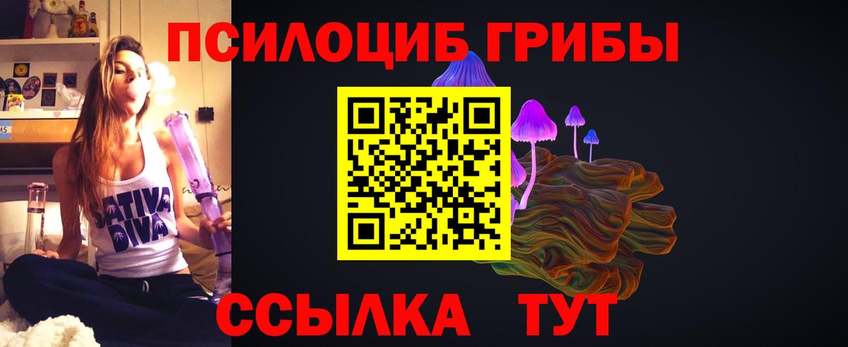 Галлюциногенные грибы MAGIC MUSHROOMS Кисловодск